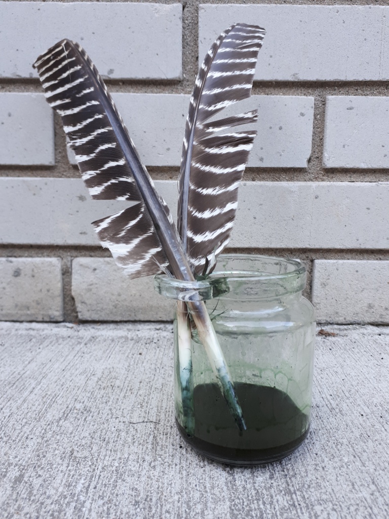 How to Make a Feather Quill and Ink – But First We Craft